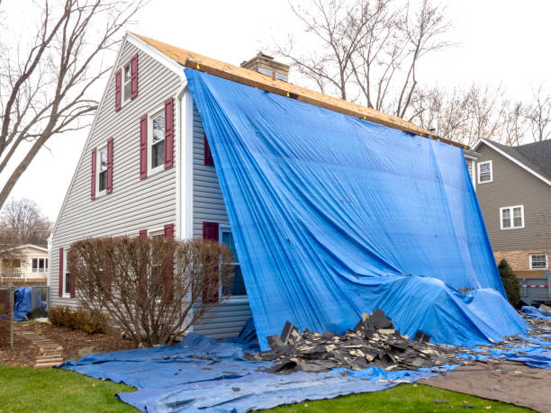 Best Residential Vinyl Siding Installation  in Farley, IA